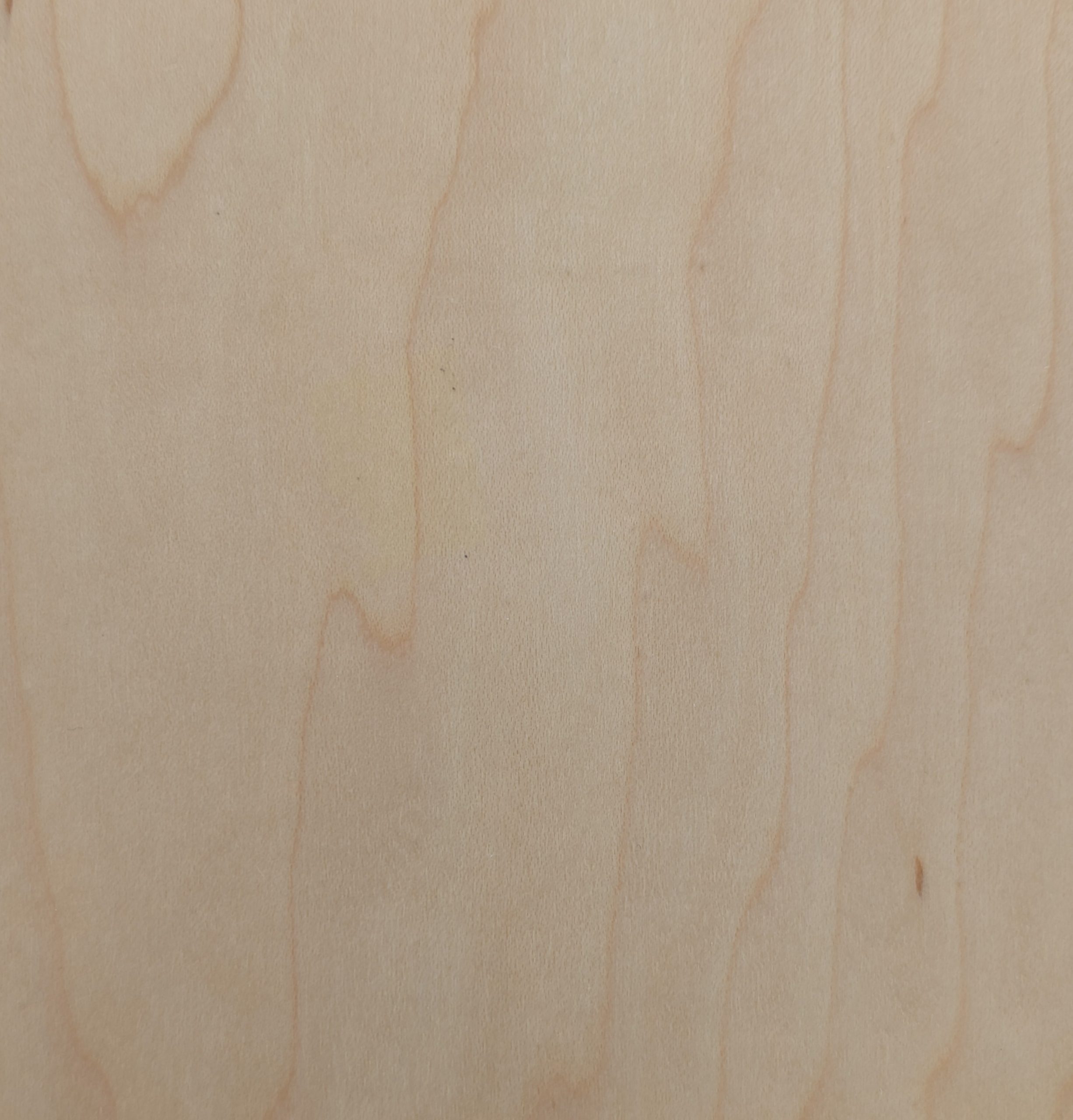 Maple